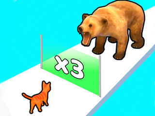 cat evolution